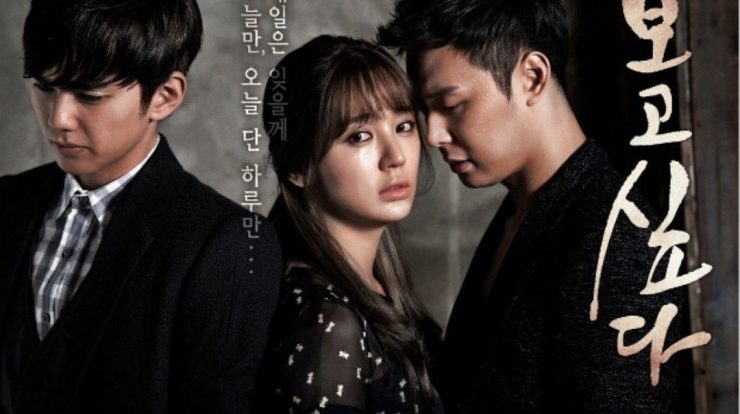 Review Missing You (2012)